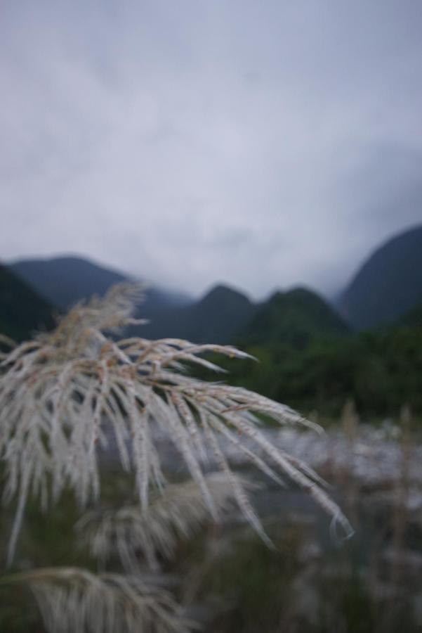 Songyue Homestay Jingmei Exteriör bild